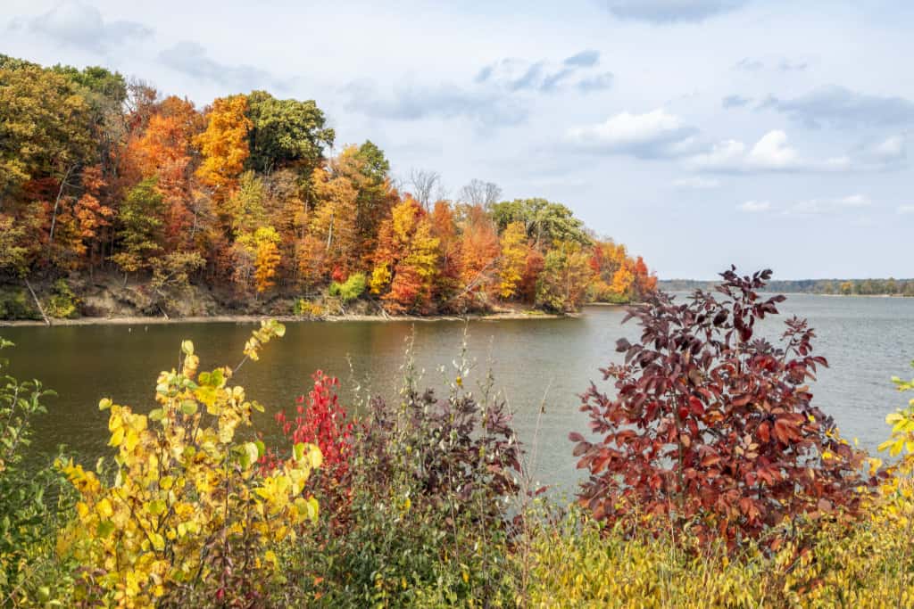 Indianapolis Eagle Creek Park and Nature Preserve - Commercial, Industrial  and Residential, Softeners, Filters, and Water Purification Equipment in  Indianapolis IN from Excalibur Water Systems
